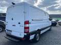Mercedes-Benz Sprinter II 319 CDI*GEPANZERT*ARMORED*V6*AUTOMAT Weiß - thumbnail 5