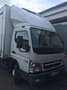 Mitsubishi Canter Canter 7C18D - thumbnail 12