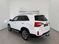 Kia Sorento Platinum Edition 4WD RÜCKFAHRKAM. / LED / NAVI Weiß - thumbnail 4