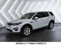 Land Rover Discovery Sport 2.0 D150 AWD Automatik SHZ PDC KAM Weiß - thumbnail 2