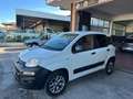 Fiat Panda Panda 1.3 mjt 16v 4x4 VAN Blanc - thumbnail 3