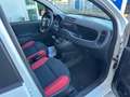 Fiat Panda Panda 1.3 mjt 16v 4x4 VAN Blanc - thumbnail 7