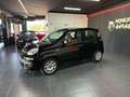 Fiat Panda 1.2 benzina 4 cilindri Nero - thumbnail 2