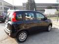 Fiat Panda Panda III 2012 1.2 Easy 69cv E6 Nero - thumbnail 6