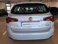 Fiat Tipo Station Wagon 1.6 Multijet Lounge Grau - thumbnail 7