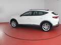 CUPRA Formentor 2.0 TDI 320,-ohne Anzahlung Sitzheizung Blanco - thumbnail 14