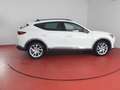 CUPRA Formentor 2.0 TDI 320,-ohne Anzahlung Sitzheizung Blanco - thumbnail 24