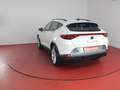 CUPRA Formentor 2.0 TDI 320,-ohne Anzahlung Sitzheizung Blanco - thumbnail 17