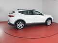CUPRA Formentor 2.0 TDI 320,-ohne Anzahlung Sitzheizung Blanco - thumbnail 23