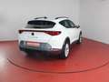 CUPRA Formentor 2.0 TDI 320,-ohne Anzahlung Sitzheizung Blanco - thumbnail 20