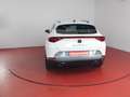 CUPRA Formentor 2.0 TDI 320,-ohne Anzahlung Sitzheizung Blanco - thumbnail 18