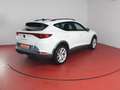 CUPRA Formentor 2.0 TDI 320,-ohne Anzahlung Sitzheizung Blanco - thumbnail 21