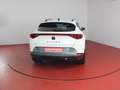 CUPRA Formentor 2.0 TDI 320,-ohne Anzahlung Sitzheizung Blanco - thumbnail 19