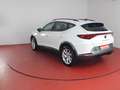 CUPRA Formentor 2.0 TDI 320,-ohne Anzahlung Sitzheizung Blanco - thumbnail 16