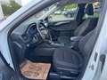 Ford Kuga 1,5 EcoBlue Titanium Aut. / NAVI / LED / RFK / Weiß - thumbnail 20