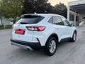Ford Kuga 1,5 EcoBlue Titanium Aut. / NAVI / LED / RFK / Weiß - thumbnail 6