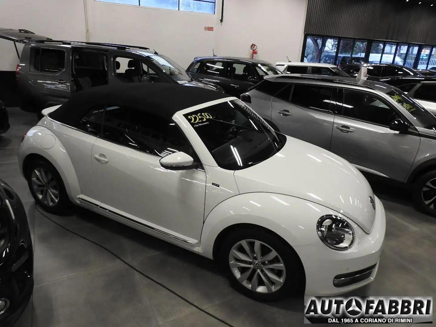 Volkswagen Maggiolino VOLKSWAGEN -  - 1.2 TSI Design BMT ALLST Wit - 1
