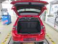 Volkswagen Golf VIII 1.0 TSI Move*Harman Kardon*LED*Navi* Rot - thumbnail 4