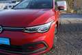 Volkswagen Golf VIII 1.0 TSI Move*Harman Kardon*LED*Navi* Rot - thumbnail 20