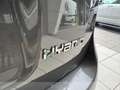 Fiat Panda 1.0 firefly hybrid s&s 70cv 5p.ti Grau - thumbnail 11