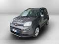 Fiat Panda 1.0 firefly hybrid s&s 70cv 5p.ti Grau - thumbnail 1