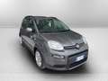 Fiat Panda 1.0 firefly hybrid s&s 70cv 5p.ti Grau - thumbnail 3