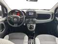 Fiat Panda 1.0 firefly hybrid s&s 70cv 5p.ti Grau - thumbnail 7