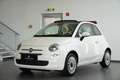 Fiat 500 Lounge *CABRIO*KLIMA*START/STOPP* Weiß - thumbnail 2