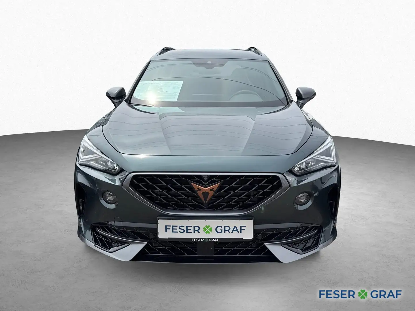 CUPRA Formentor VZ 2.0 TSI DSG 4DRIVE AHK BEATS, 360° TOP VIEW NAV Grün - 2