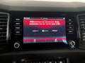 Skoda Kodiaq 4x4 SPORTLINE TDI DSG Grau - thumbnail 14