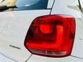 Volkswagen Polo Polo V 2009 5p 1.2 tdi bm 89g Bianco - thumbnail 5