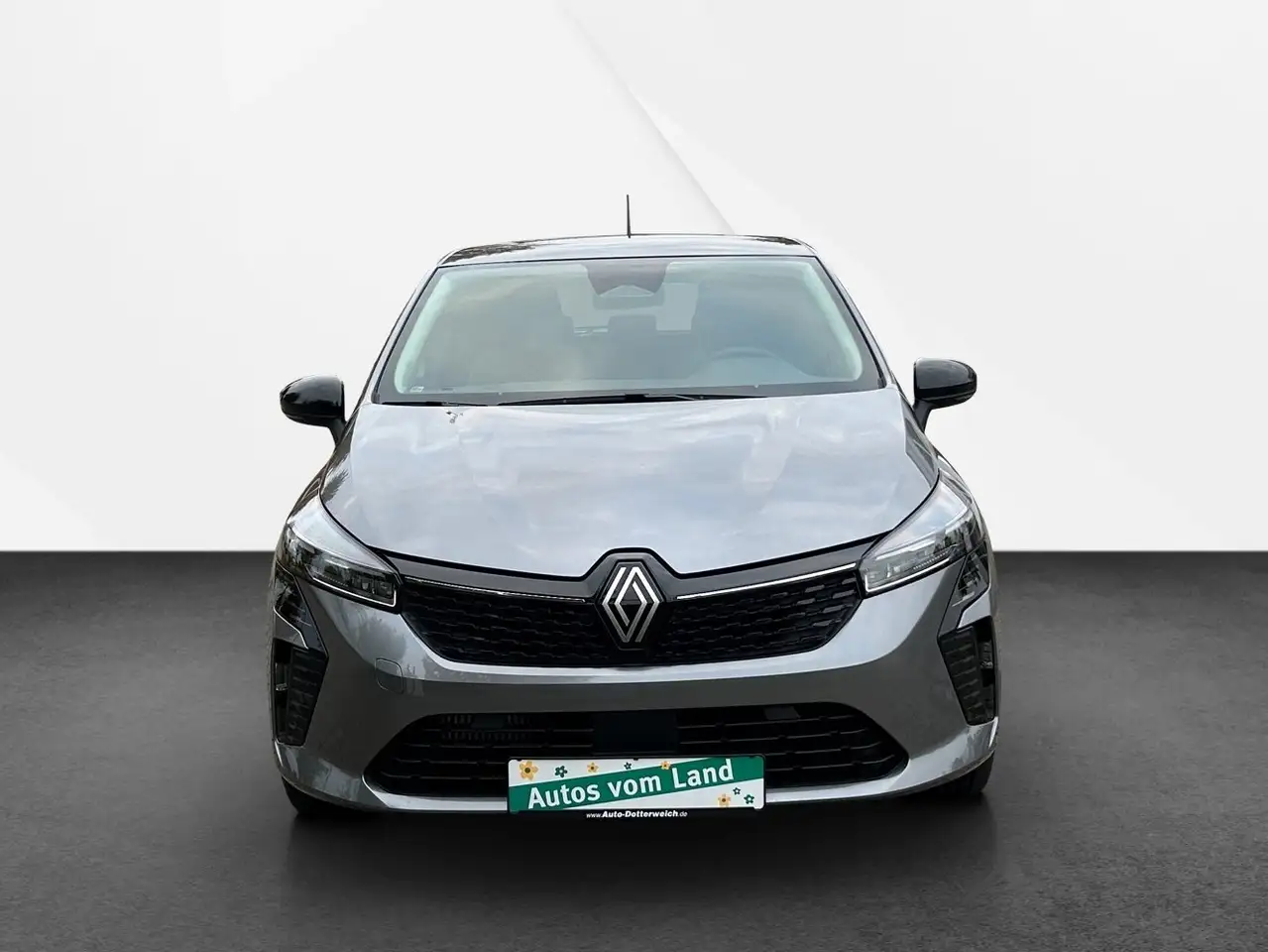 Renault Clio Evolution tce90 Kamera, SHZ, Keyless 2