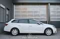 SEAT Leon Reference Pickerl NEU Weiß - thumbnail 5