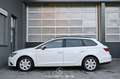 SEAT Leon Reference Pickerl NEU Weiß - thumbnail 6