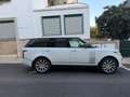 Land Rover Range Rover 4.4SDV8 Autobiography Aut. Weiß - thumbnail 3