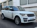 Land Rover Range Rover 4.4SDV8 Autobiography Aut. Weiß - thumbnail 1