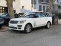 Land Rover Range Rover 4.4SDV8 Autobiography Aut. Weiß - thumbnail 2