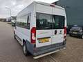 Fiat Ducato Combinato 35 3.0 L2H2 5995.- INCL BTW AARDGAS 9-PE Blanc - thumbnail 5