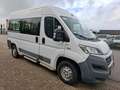 Fiat Ducato Combinato 35 3.0 L2H2 5995.- INCL BTW AARDGAS 9-PE Blanc - thumbnail 9