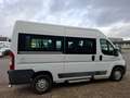 Fiat Ducato Combinato 35 3.0 L2H2 5995.- INCL BTW AARDGAS 9-PE Blanc - thumbnail 7