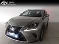 Lexus NX 300 300h Business 2WD Gris - thumbnail 1
