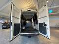 Iveco Daily 35s13 *Hoch+Lang*AHK 3.500 Kg* Weiß - thumbnail 16