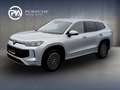 Volkswagen Tayron Friends eTSI DSG Silber - thumbnail 1