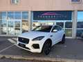 Jaguar E-Pace P300e ch PHEV AWD BVA R-Dynamic S / SUIVI Blanc - thumbnail 1