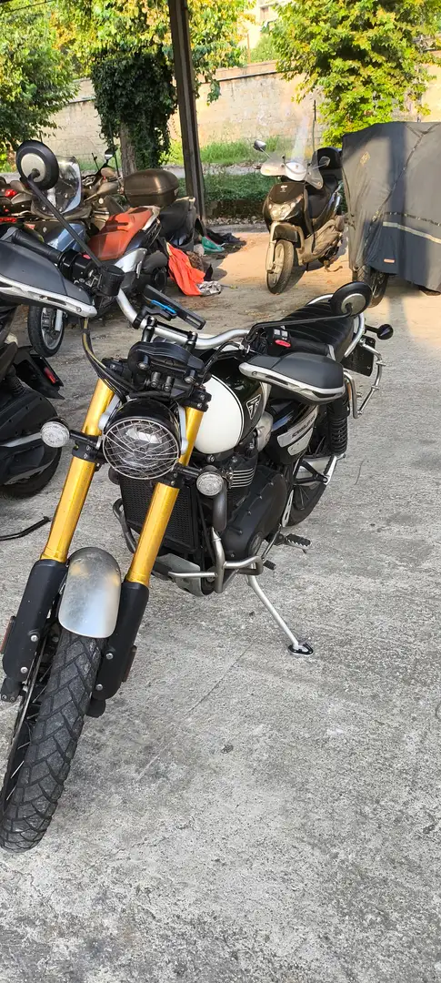 Triumph Scrambler Xe Bianco - 2