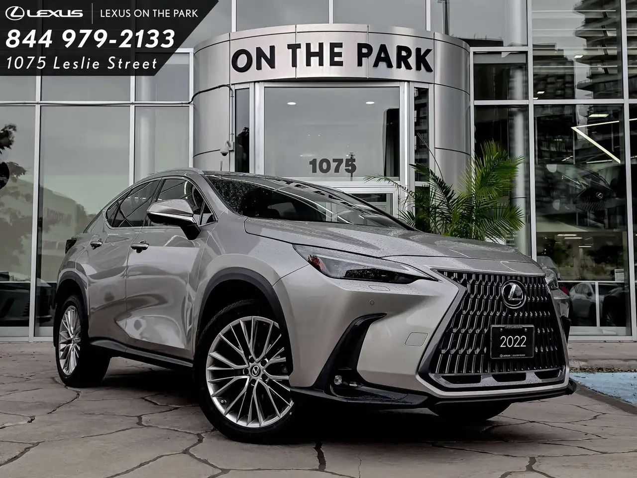 2022 Lexus NX