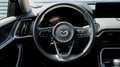 Mazda CX-60 2024 e-SKYACTIV-D 254 HOMURA *alle Pakete* Noir - thumbnail 15