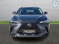 Lexus NX 350h Business Line Gris - thumbnail 3