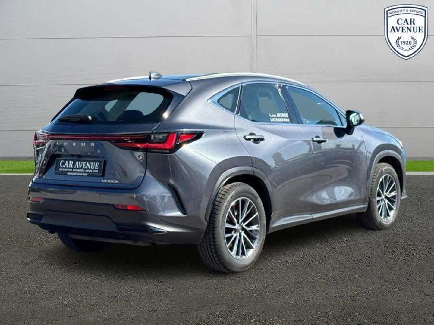 Lexus NX 350h Business Line Gris - 2