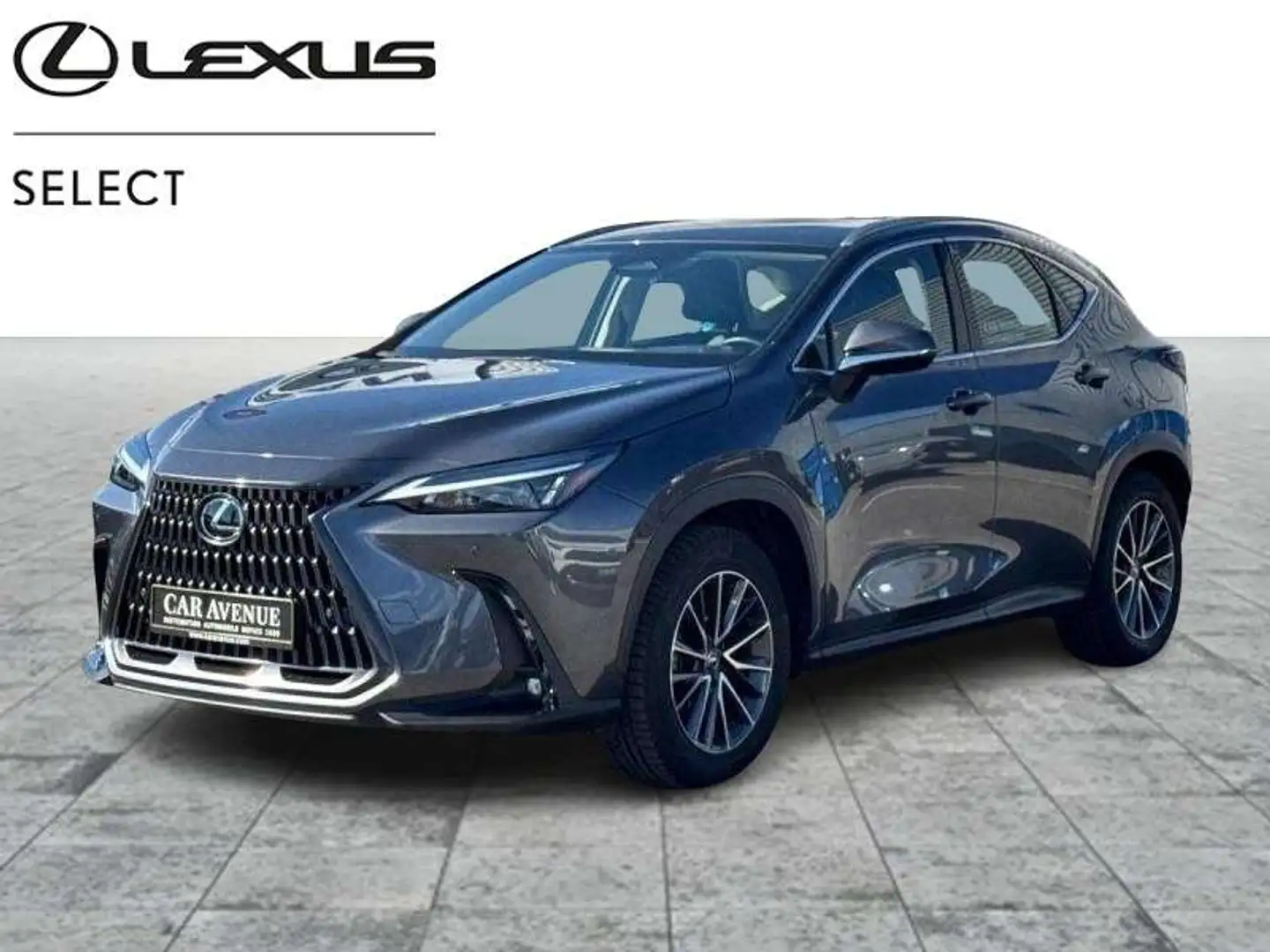 Lexus NX 350h Business Line Gris - 1